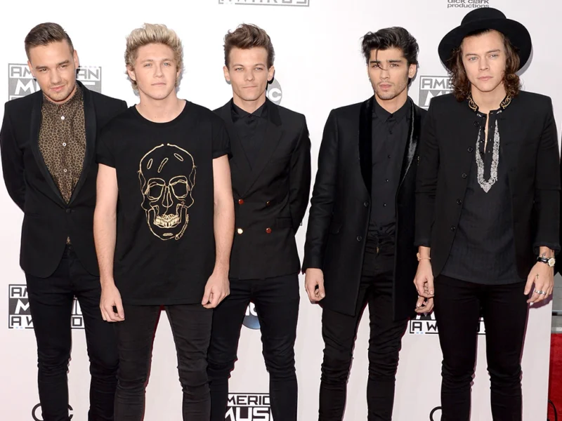 Zayn Malik One Direction Singer Quits: Opens About Getting Irritated From Band