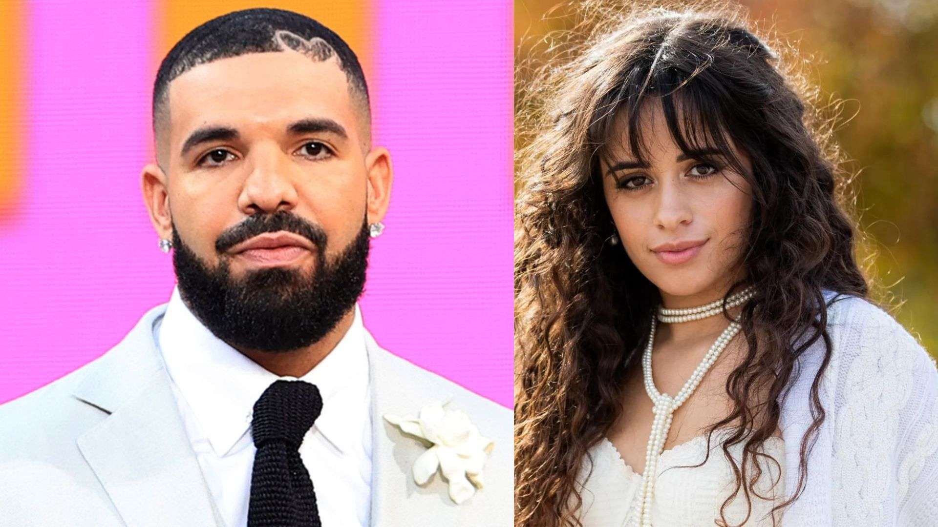 Drake And Camila Cabello Dating Rumors quickinfobuzz